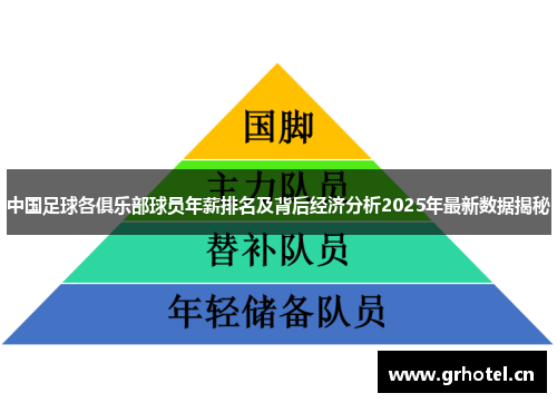 中国足球各俱乐部球员年薪排名及背后经济分析2025年最新数据揭秘