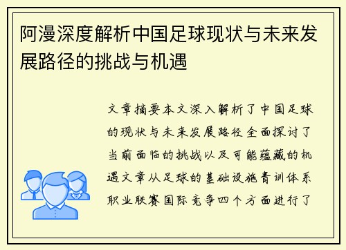 阿漫深度解析中国足球现状与未来发展路径的挑战与机遇